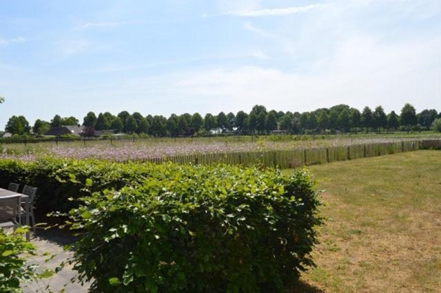 Residentie De Hoek Den Dungen ภายนอก รูปภาพ