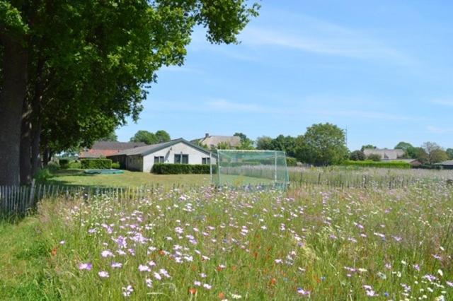 Residentie De Hoek Den Dungen ภายนอก รูปภาพ
