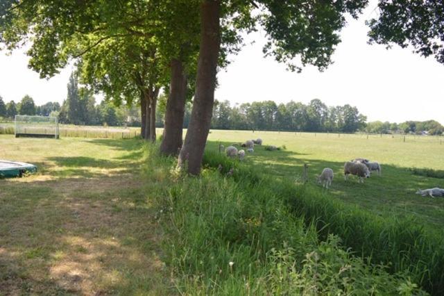 Residentie De Hoek Den Dungen ภายนอก รูปภาพ